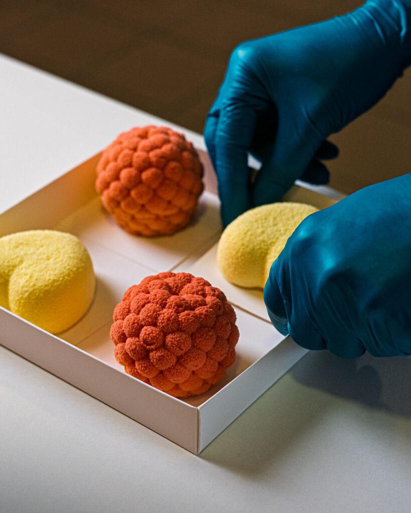 projektowanie stron www Osoba ubrana w niebieskie rękawiczki układa cztery kolorowe desery o różnej fakturze — dwa żółte i dwa pomarańczowe — wewnątrz białego pudełka na jasnej powierzchni. fotografia filmowanie augustów